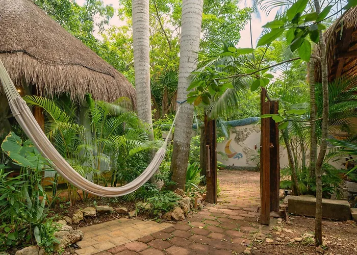 Oma Cancun - Holistic Healing Center